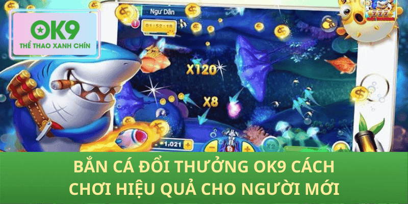 Bắn cá đổi thưởng OK9 cách chơi hiệu quả cho người mới