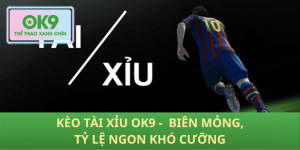 Tài Xỉu OK9 - Bộ sưu tập kèo thơm nhất thị trường