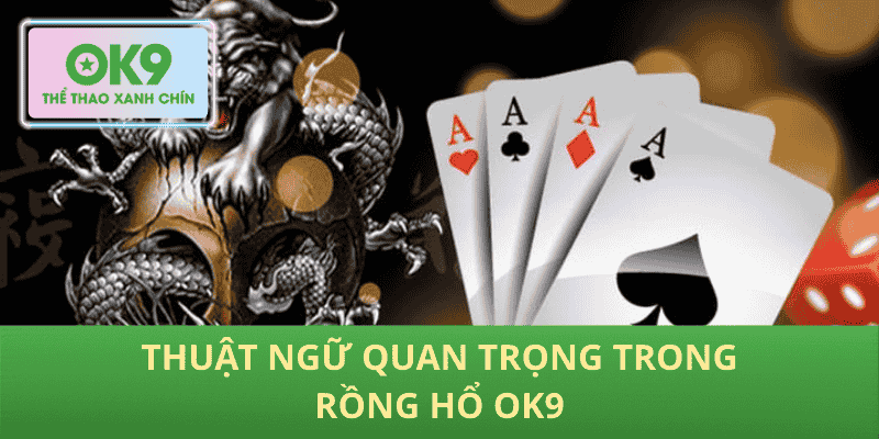 Thuật ngữ quan trọng trong Rồng hổ OK9