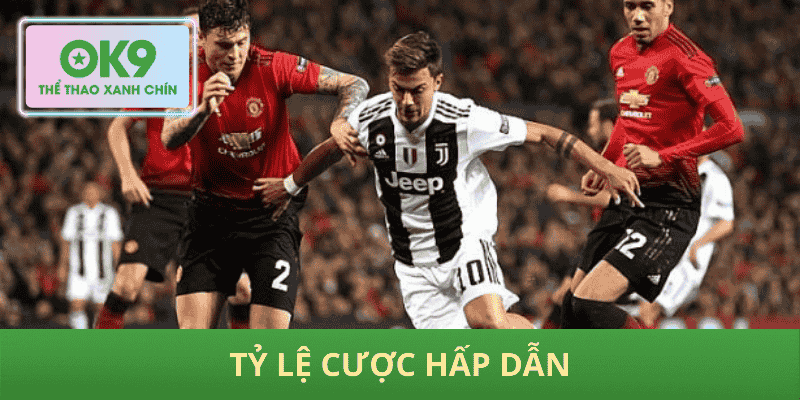 Tỷ lệ cược hấp dẫn