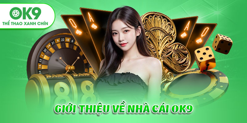 Giới thiệu Ok9 tổng quan nền tảng