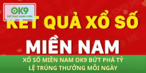 Xổ số miền nam OK9 tăng tốc tra cứu nhận thưởng